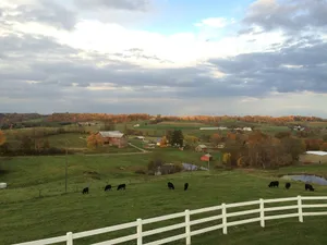 Image of Great for Friends & Families, Breathtaking View, Nature Trails, Farm Animals