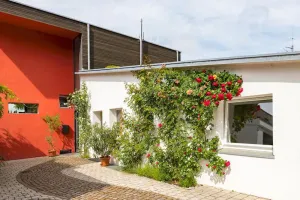 Image of Ferienwohnung Rosenrot