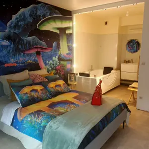 Image of Superb 60m2 with suite and jacuzzi