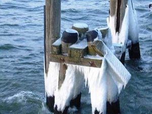 Image of Sea Eagle 321 - Holiday Park Streckelsberg * 10 min. To the Baltic Sea beach *