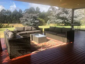 Image of Honeyeater in Margaret River, just 7 minutes from Town Centre and Beach