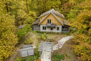 Image of Summer Forest Sanctuary: Adventure & Relaxation Near Lake Lemon