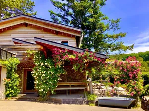 Image of Chalet du Bickenberg in Osenbach near Colmar - playground - shared pool