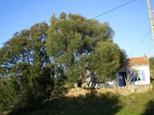 Image of Serragia Rocapina: House with garden