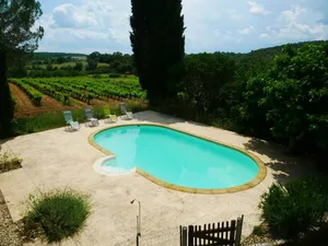 Image of Mas Ribaute - Pour 10 avec piscine privée