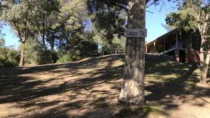 Image of Relax In Taylor Bay Lake Eildon