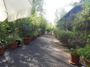 Image of house in the green - just 10 minutes from the cathedral and 20 minutes by car to the airport