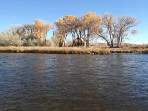 Image of Find peace and adventure on the Gunnison River, just minutes from Delta!