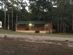 Image of beautiful cedar hut in the woods