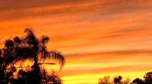 Image of Heavenly Holiday House by the Gulf