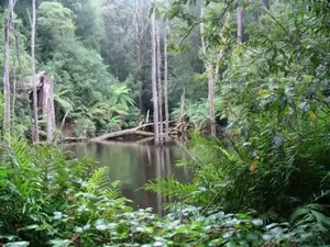 Image of parkwood cottage