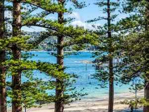 Image of Quest Manly