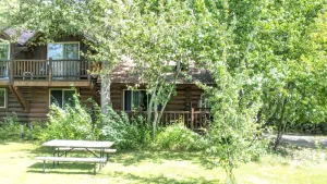 Image of Timber Wolf Cabin:  One Bedroom