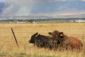 Image of Historic ranch house has beautiful mountain and valley views. Weekly discounts.