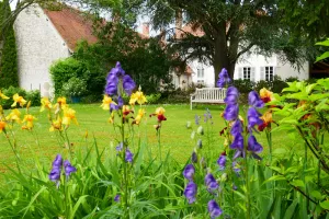 Image of Domaine d'Adon