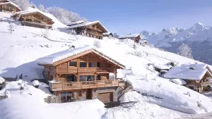 Image of MAGNIFICENT NEW APARTMENT WITH TERRACE IN A LUXURY CHALET