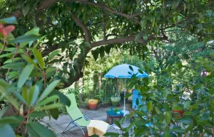 Image of Casa Estel - Blue apartment in downtown of Erbalunga