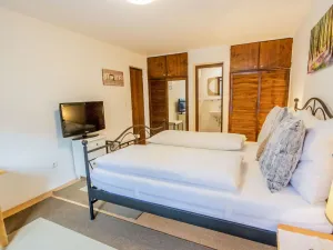 Image of Nice apartment for 2 people with WIFI, TV, pets allowed and parking