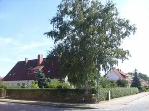 Image of Vacation apartment Mirow (22205) - Holiday apartment