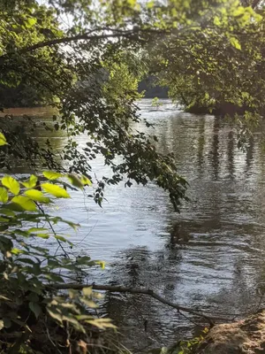 Image of James River Cottage with 2 Kayaks