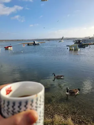 Image of Holes Bay Nature Reserve, Poole, right next to the Water