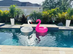 Image of Pool Heated Home Near IMG & Siesta Key Beach