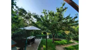 Image of Between town and country - garden with river