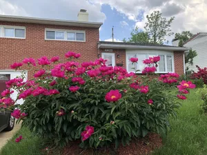 Image of 20% discount-Baltimore& DC Metro area