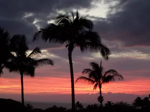 Image of Unobstructed Ocean View - Lovely 1\/1