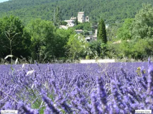 Image of Le Mas des Restanques