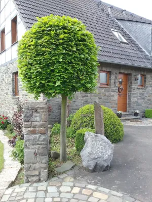 Image of Holiday home Siebenstein near the Rursees and the beach Eschauel
