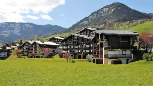 Image of PAYS DU MONT-BLANC - STUDIO PLEIN SUD