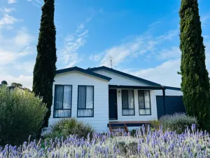 Image of Clampetts Pet Friendly Close to Township