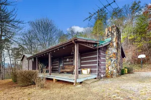 Image of Dog-friendly, mountain view cabin w\/ WiFi, and private W\/D