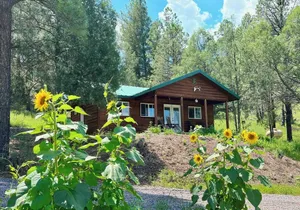 Image of Tranquil escape nestled in the forest on a beautiful horse ranch.