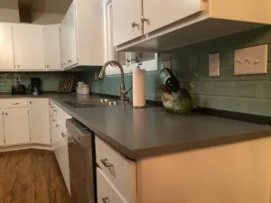 Image of Private mid century lakehouse with stunning views\/direct lake access