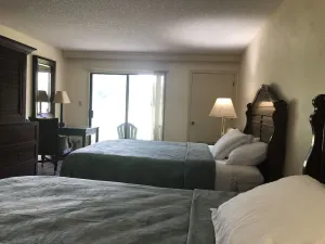 Image of Enjoy the views in Saddlebrook