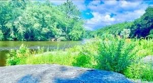 Image of Scenic Views & River Access, Cozy River Home