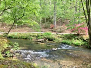 Image of Woodland Creekside Cabin\/HotTub\/WiFi\/Gameroom