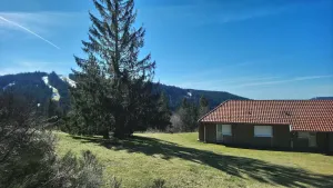 Image of Superbe Appartement Dans les Hauteurs de Gérardmer