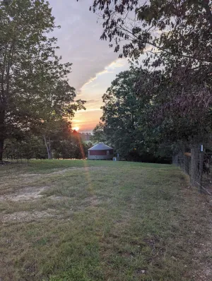 Image of The Hive - Yurt on Hobby Farm