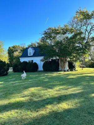 Image of Cottage and working farm in heart of Virginia wine country near UVA & Woodberry