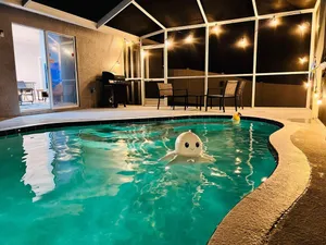 Image of Amazing heated pool 4 BR\/2 baths newly renovated home with large deck!