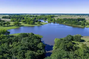 Image of Mallard House -Peaceful cabin-retreat-like setting