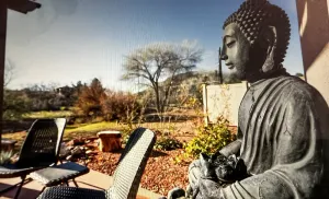 Image of Secluded Courtyard and Green Belt, find your Zen!