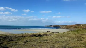 Image of THE CONQUET white sablons