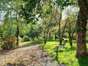 Image of Family Getaway: Fishing, Nature, Pool - Accessible, 8 Guests