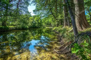 Image of Clear River Cabin on Medina