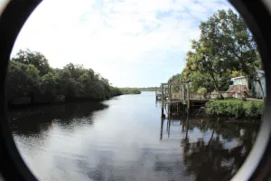 Image of River Pearl on the Alafia River
