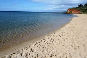 Image of MORNINGTON BEACH APARTMENT  #5 : directly opposite the beach with great views.